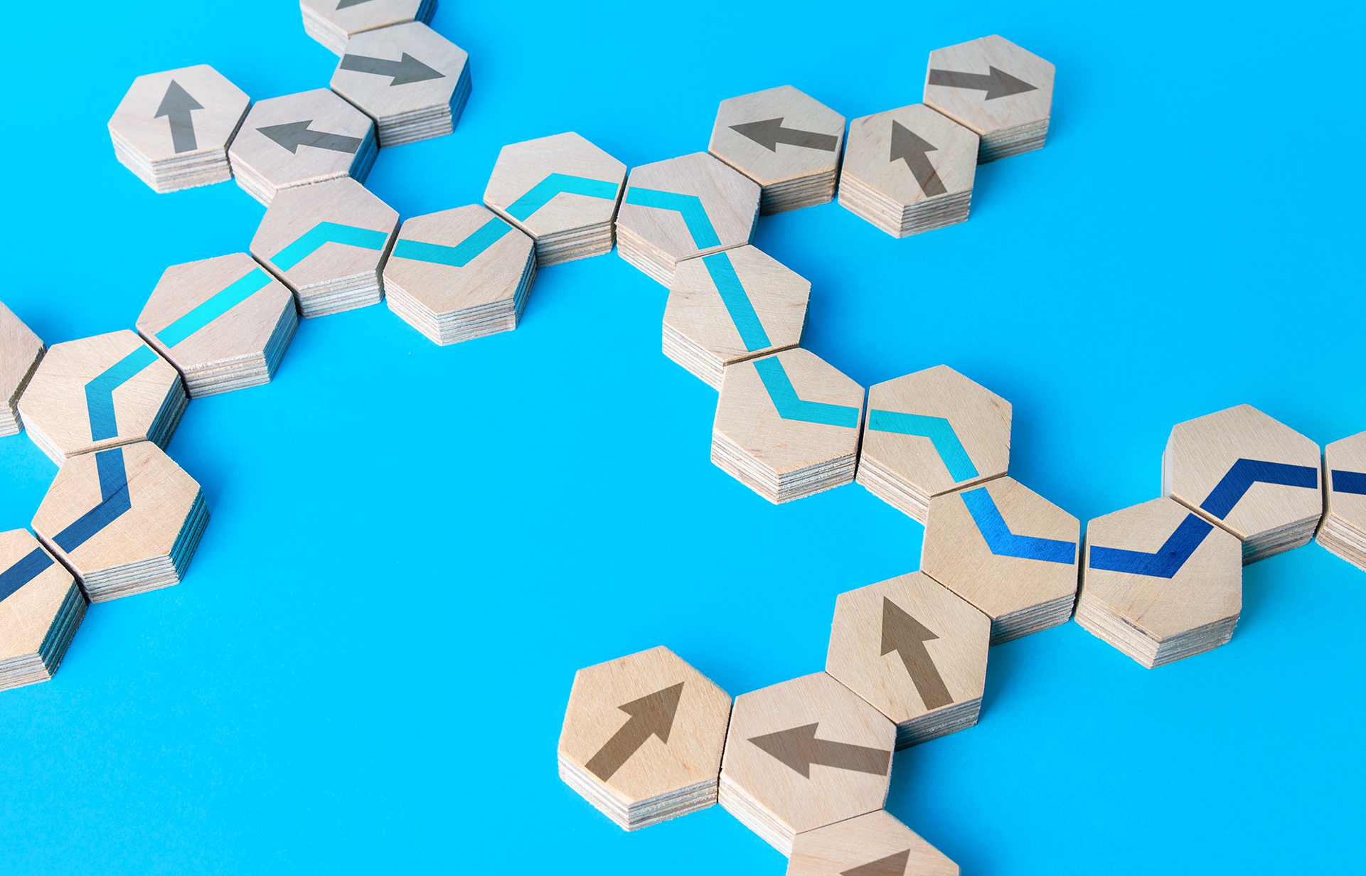 HCM Digital Solutions Strategy